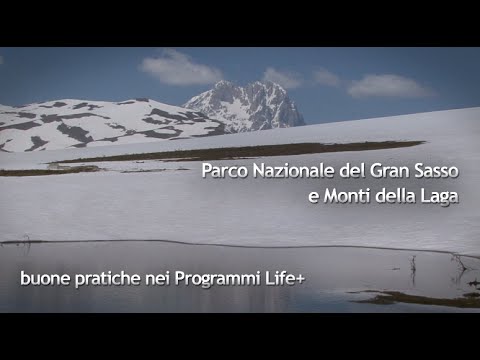 Presentation of the Park's Life Projects