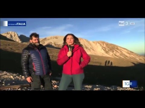TG3 Ambiente Italia - The Life Praterie Project in the TV show of the 28th November 2015